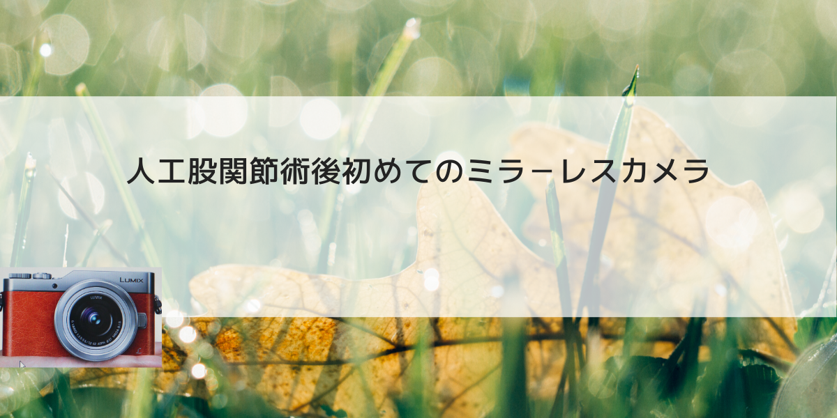 人工股関節術後初めてのミラ－レスカメラ